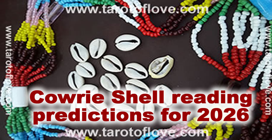 Cowrie Shell reading predictions for 2026